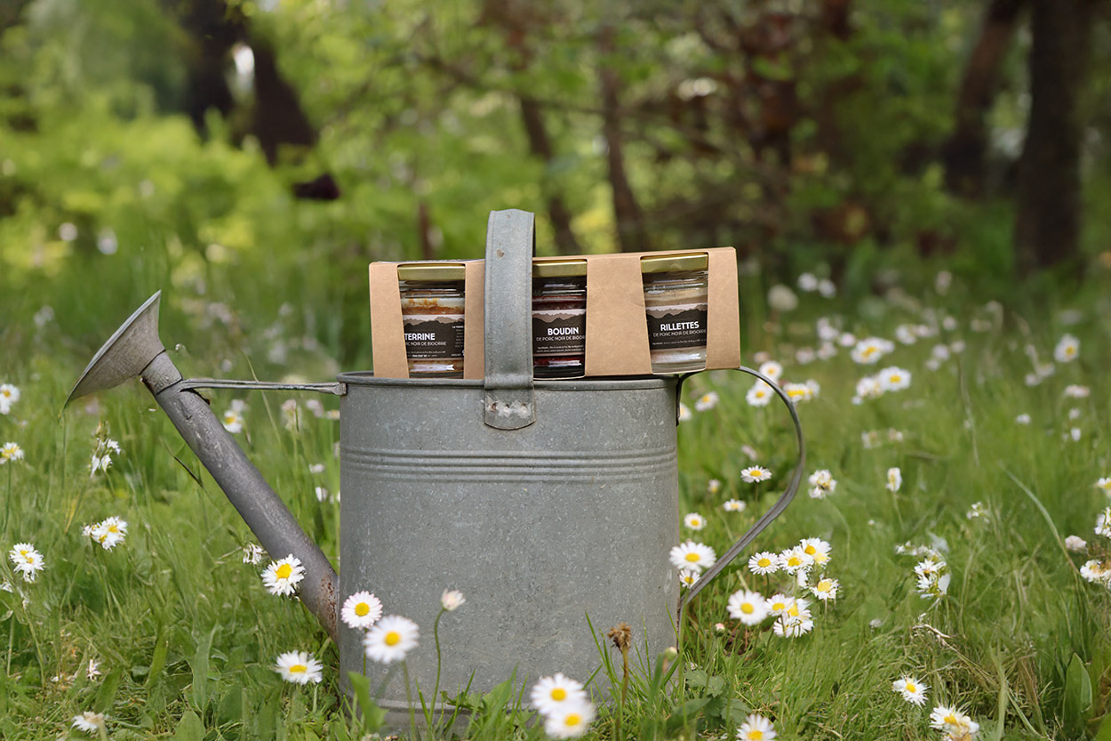 Conserverie artisanale AOP, Conserves de Porc Noir de Bigorre AOP, Eleveur de porc noir de Bigorre, Jambon noir de Bigorre AOP, Noir de Bigorre AOP, Porc noir de Bigorre AOP, Producteur de porc noir de Bigorre AOP, Viande de poir noir de Bigorre AOP